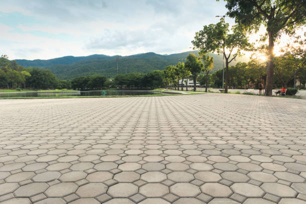 Best Driveway Paving Contractor  in Mills River, NC